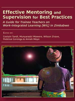 cover image of Effective Mentoring and Supervision for Best Practices